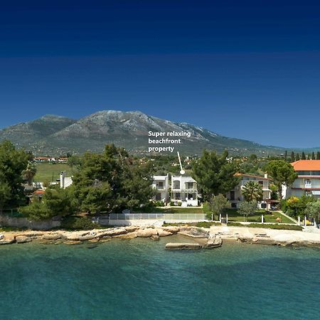 Marvelous Beach House إريتريا المظهر الخارجي الصورة
